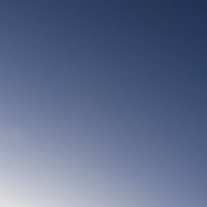 Meet your Posher, Leyton